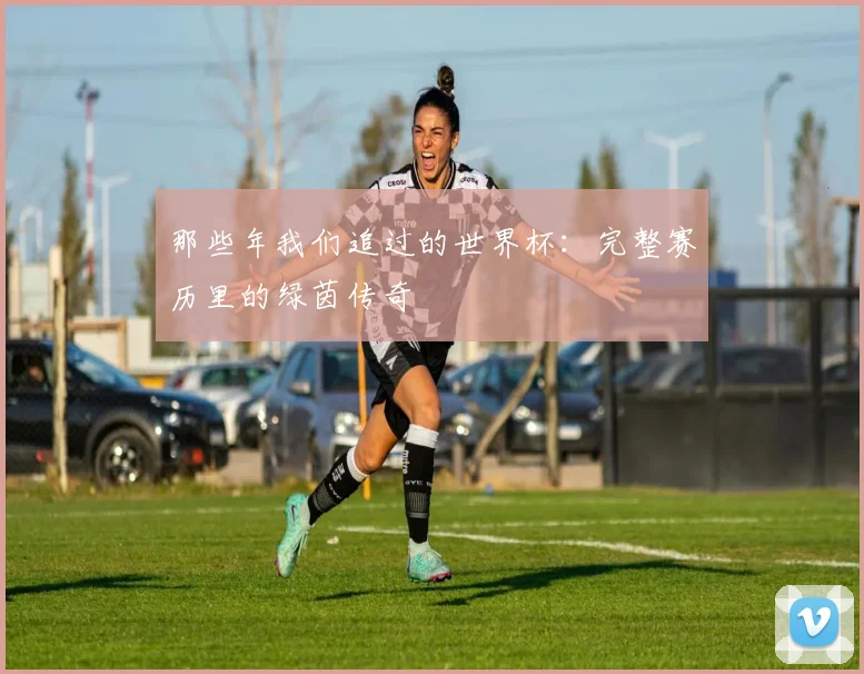 那些年我们追过的世界杯：完整赛历里的绿茵传奇