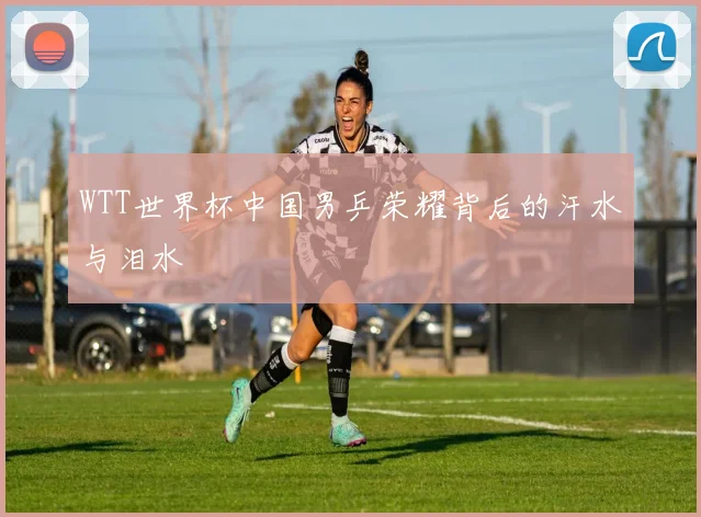 WTT世界杯中国男乒荣耀背后的汗水与泪水