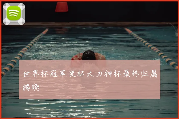世界杯冠军奖杯大力神杯最终归属揭晓
