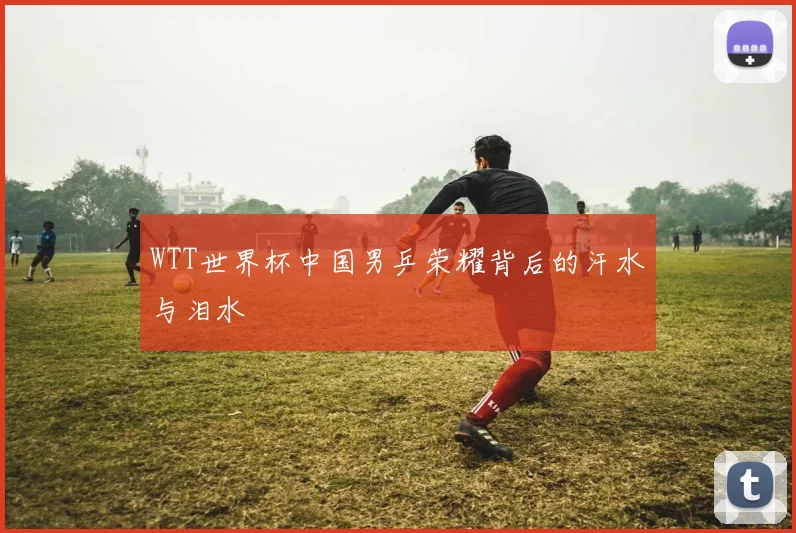 WTT世界杯中国男乒荣耀背后的汗水与泪水
