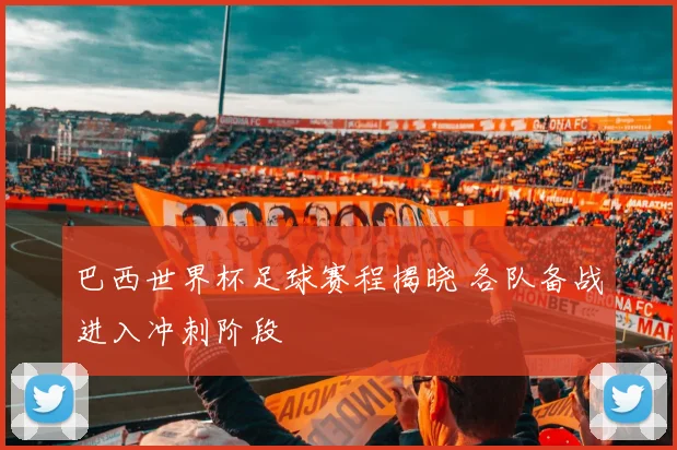 巴西世界杯足球赛程揭晓 各队备战进入冲刺阶段
